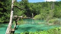 Croatia, Plitvice Lakes National Park (2011)[5]. Royalty Free Stock Photo